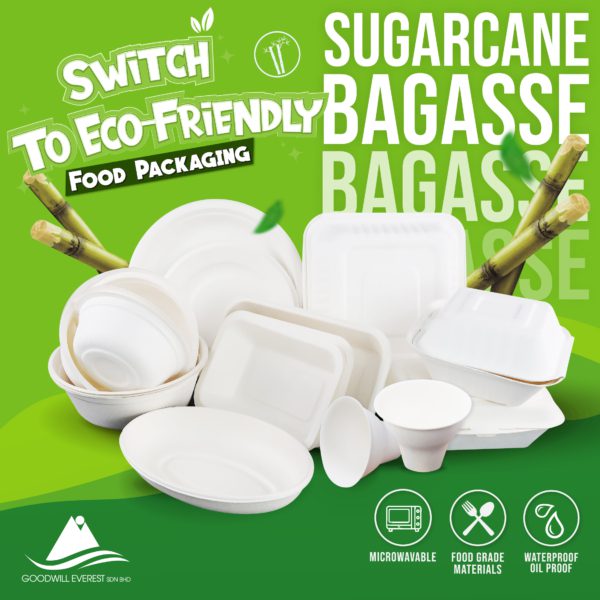 Bagasse Clamshell Box (50 pcs)