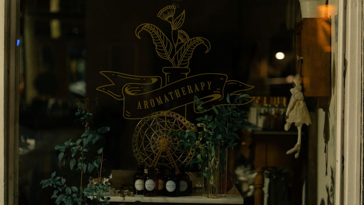 Branded window decals on a shopfront