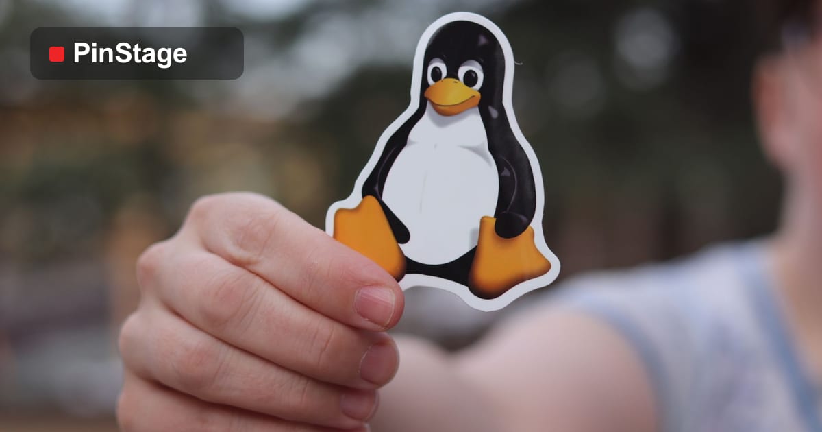 Custom Stickers & Decals: The Complete Guide for Businesses