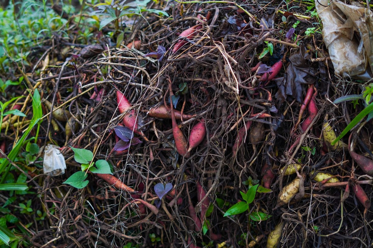 Food packaging in a compost bin
